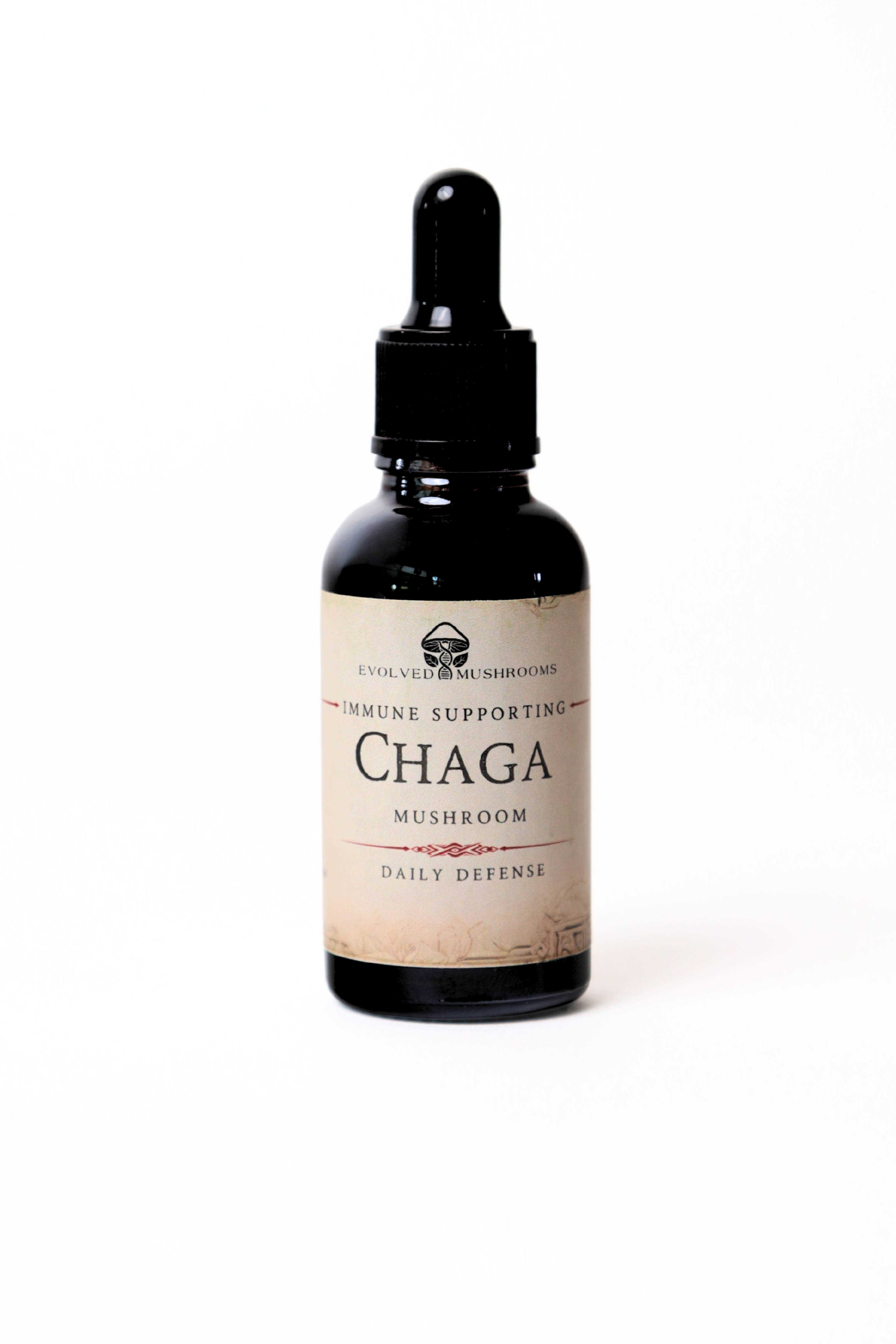 Chaga