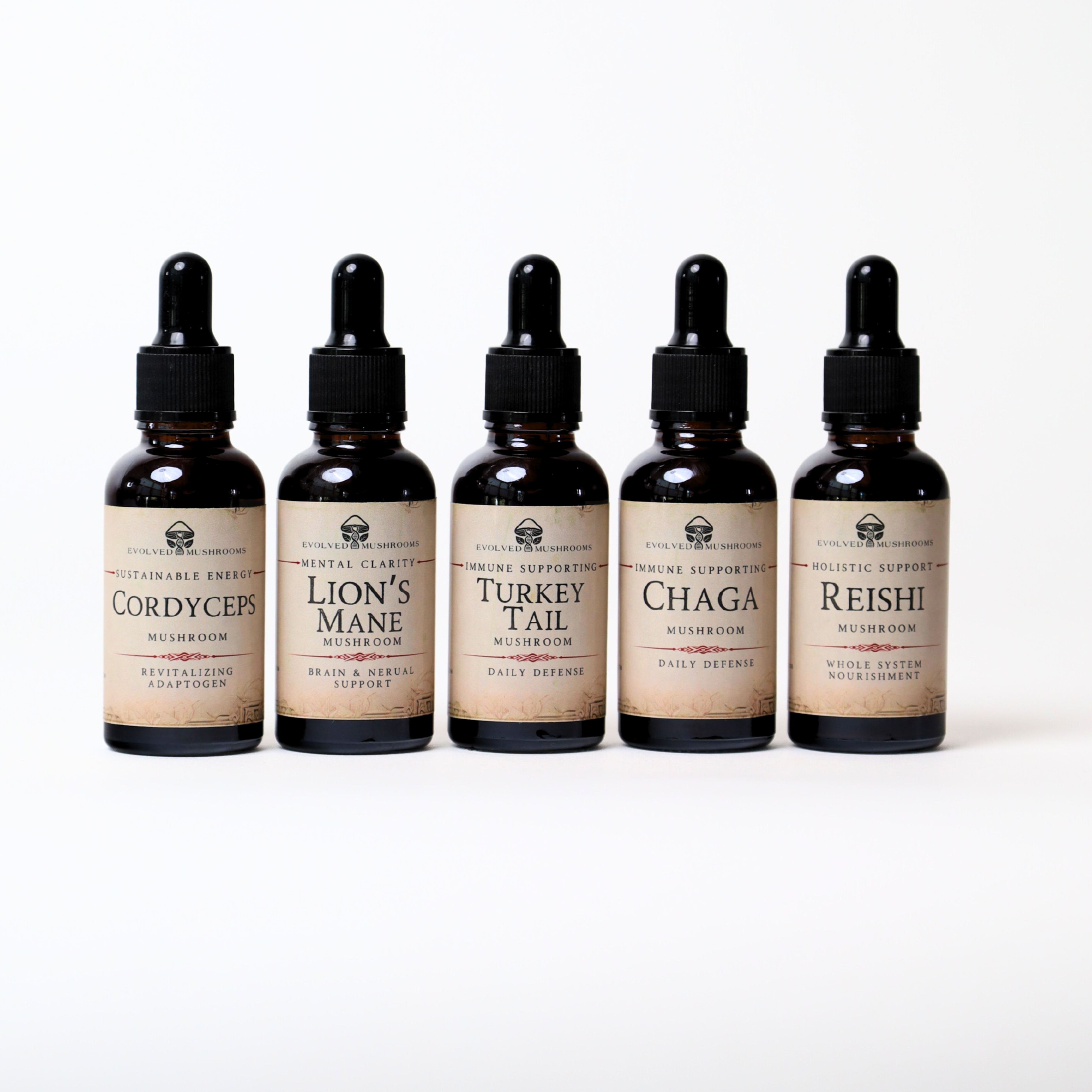 Five Elements Mushroom Bundle
