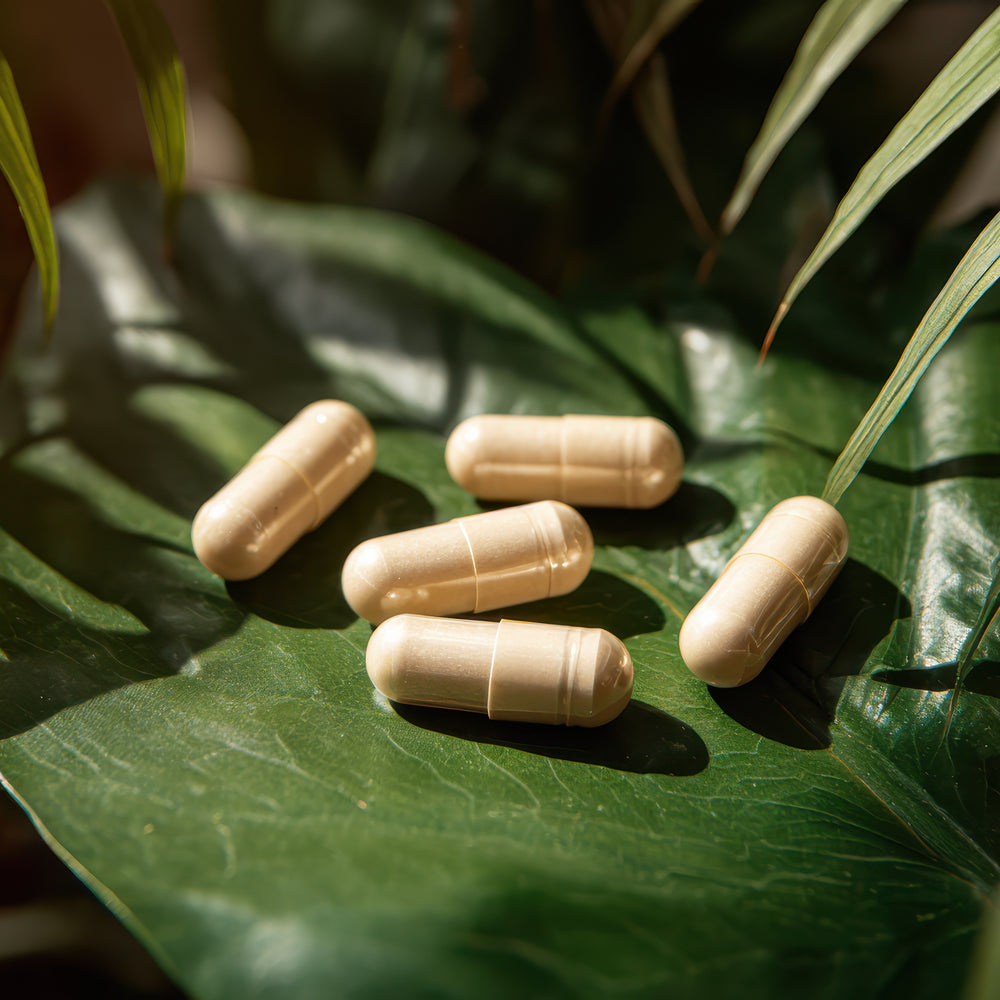 
                  
                    The Medicine Cultivator
                  
                