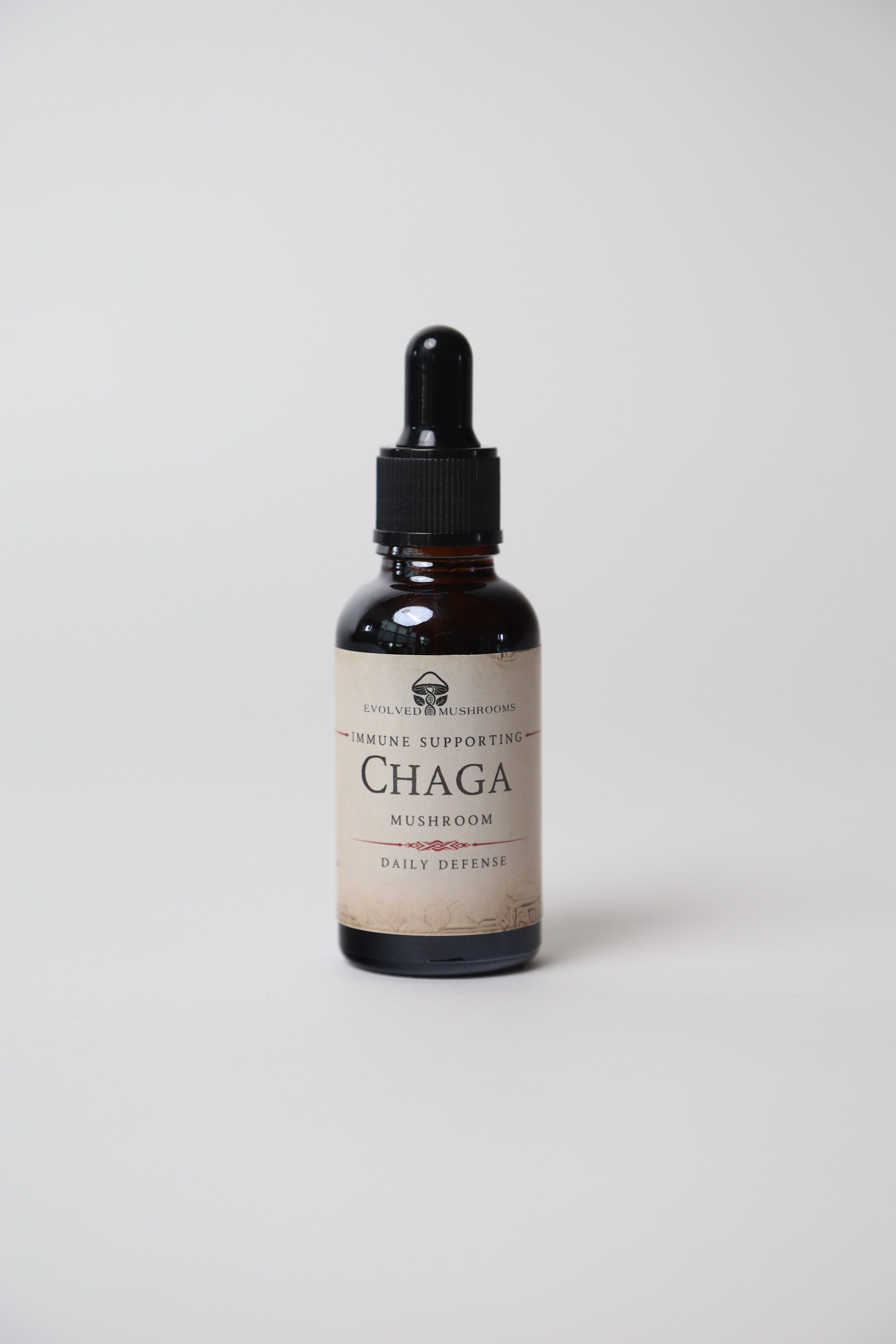 Chaga