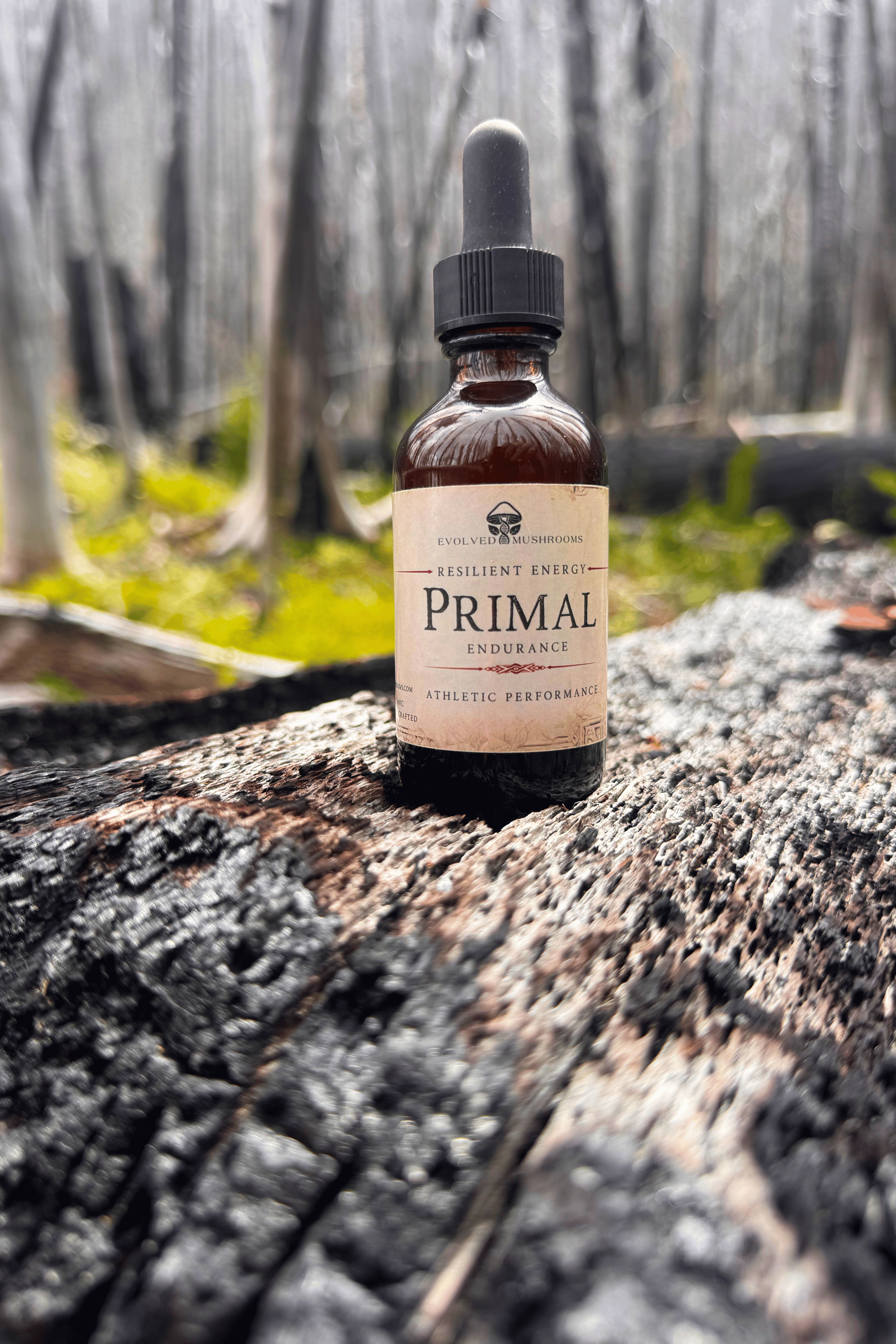 Primal Endurance