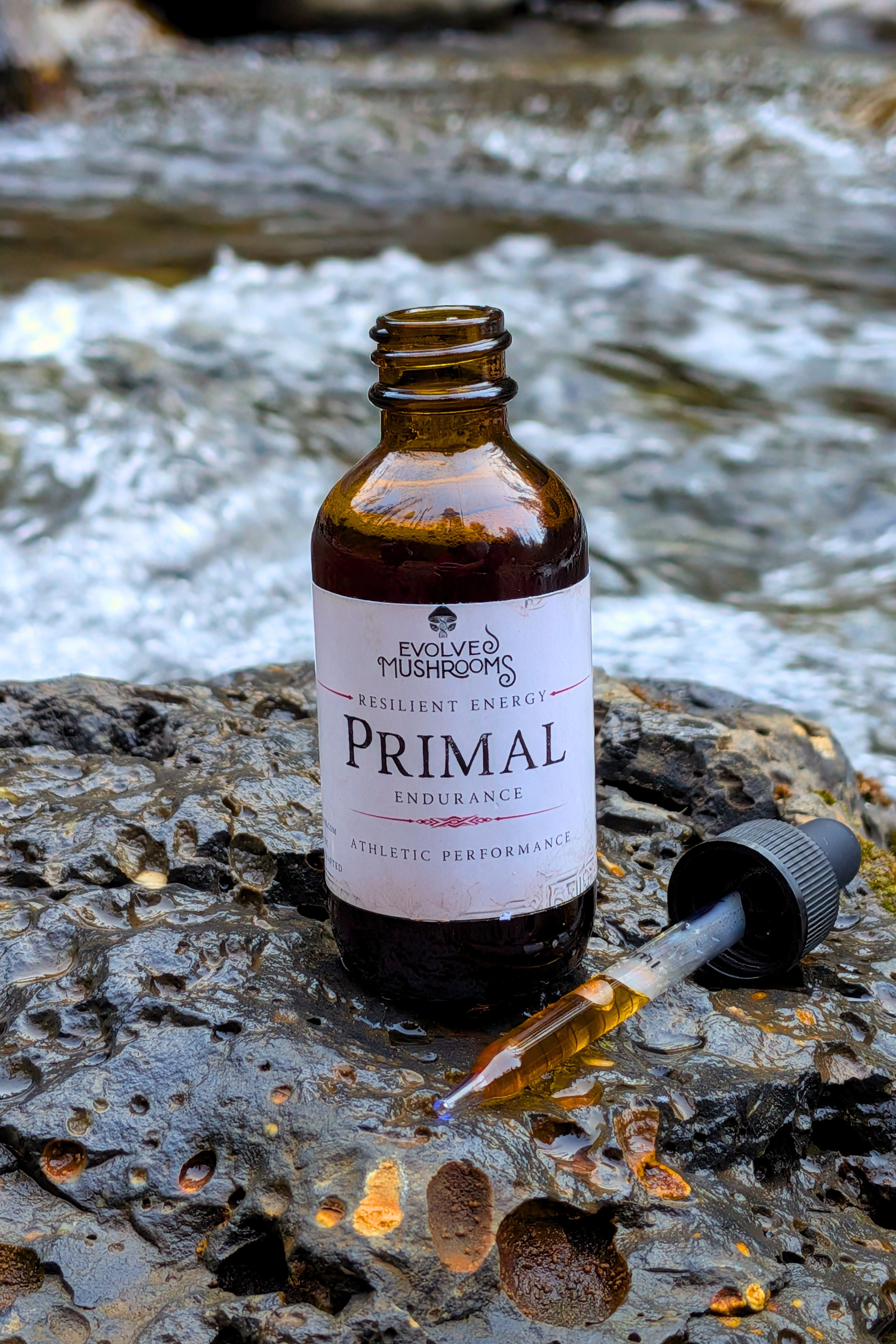 Primal Endurance