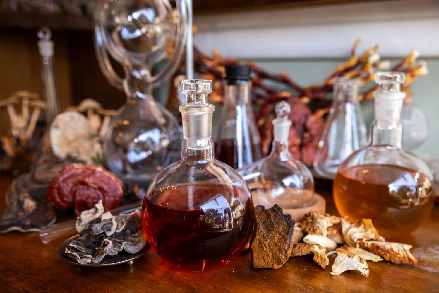 Dual-extraction glassware and dried mushrooms on the crafting table