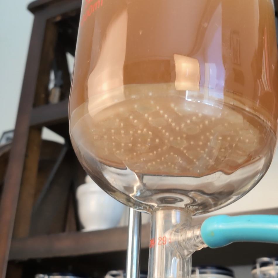 Lion's Mane liquid extract, ultrasonic dual-extraction in progress