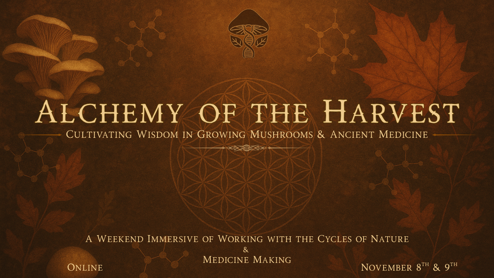 Alchemy of the Harvest Admission (Nov. 8th & 9th)