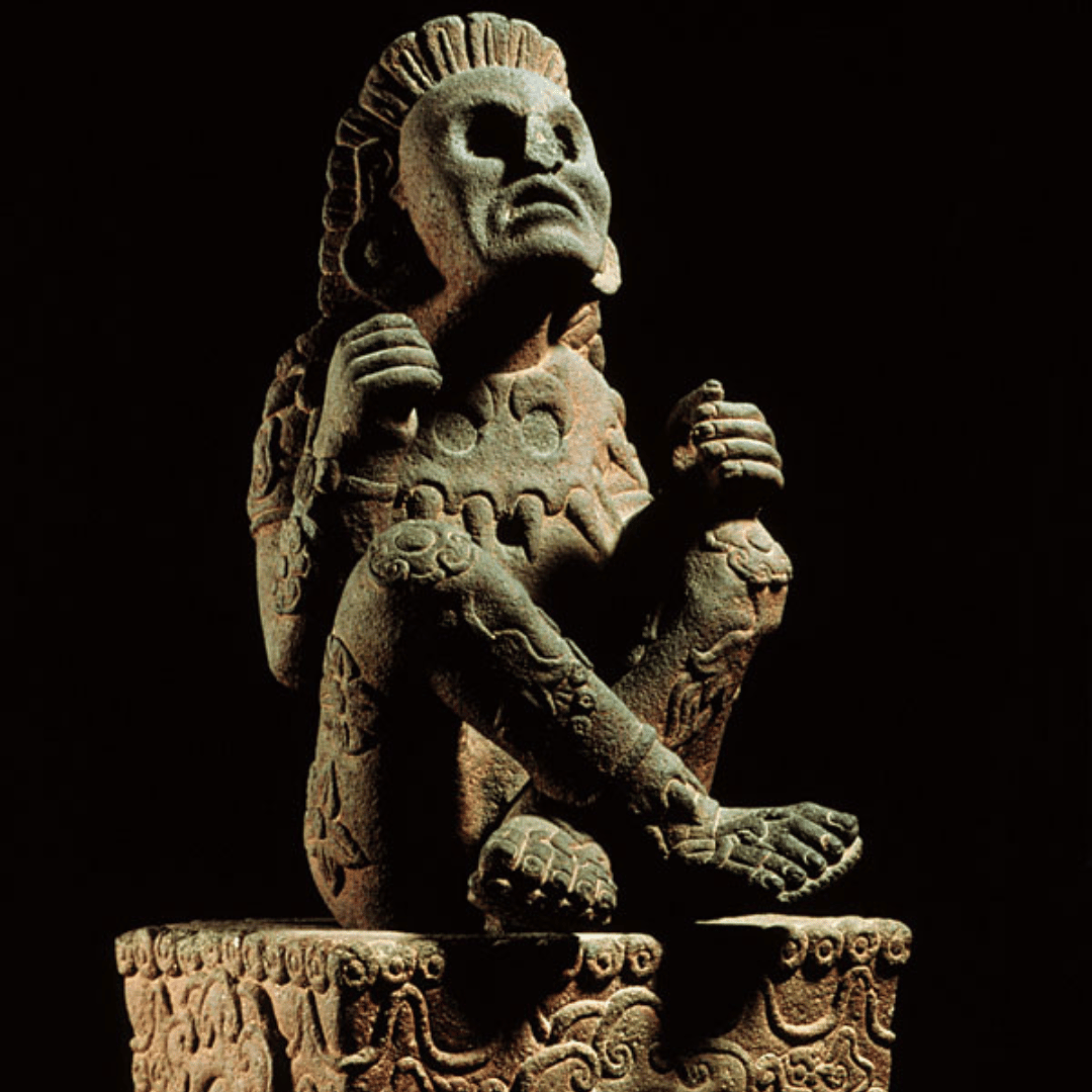 
                  
                    The Medicine Cultivator
                  
                